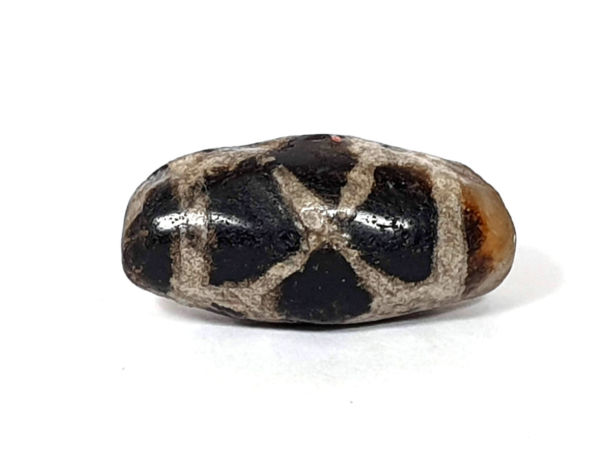 Ancient Tortoise Shell Dzi bead, 24.3mm — black agate, cream X-star longevity pattern, 1,000–1,500 yrs