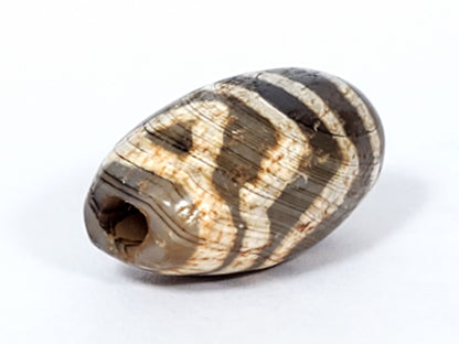 Angled end of ancient Two Eye Dzi bead — drill hole and cream stripe pattern, oval barrel profile