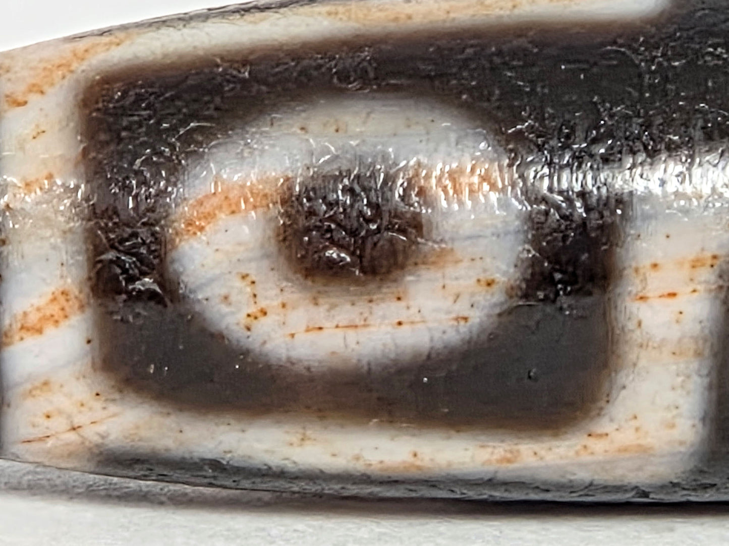 At-071426-9EBS2 macro 3 — dense reddish-orange bloodspot dots throughout eye ring and boundary zones, unretouched. 