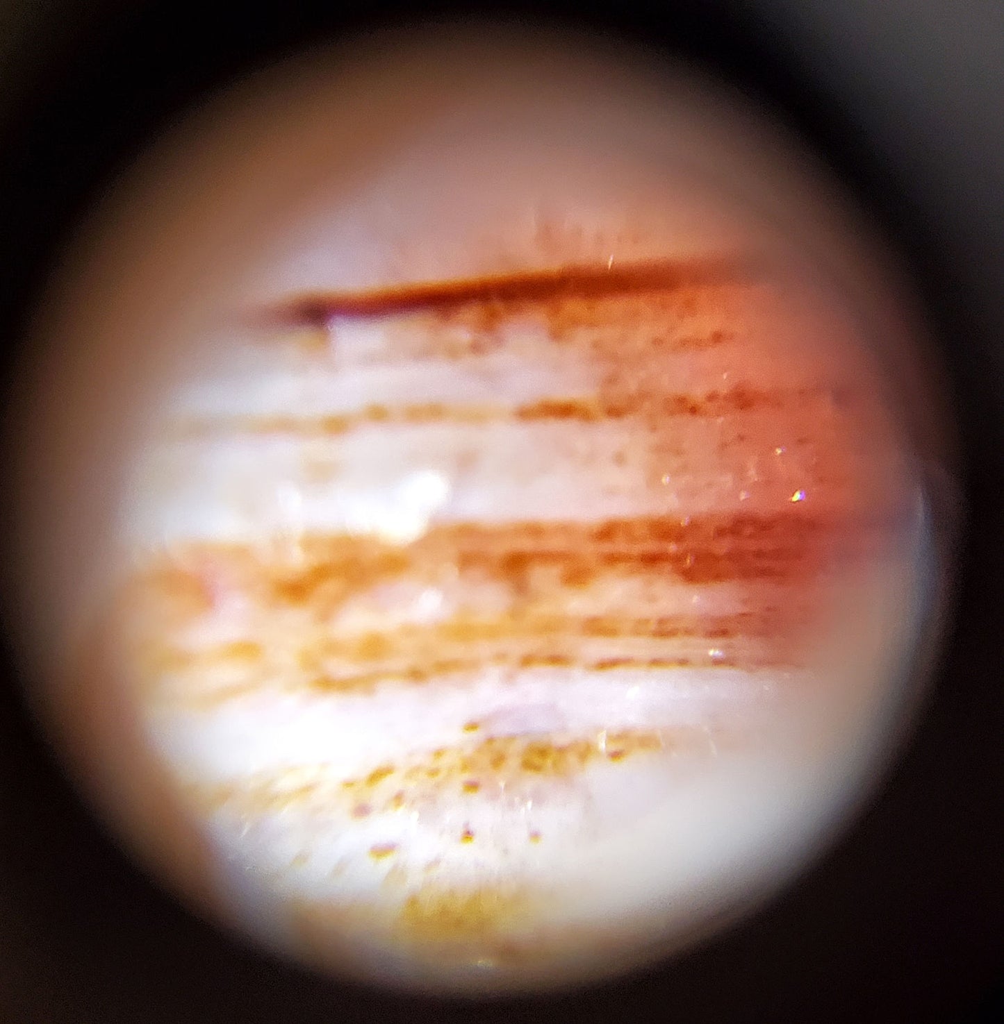 Macro close-up of Tasso dzi bloodspot zone showing dense iron-oxide micro-dots on orange agate, At-052526-TaBS	110 