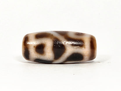 At-080926-6ELCBS antique Six Eye Lotus Cross dzi bead 24.1×10.8mm, Face C turn showing bracket element, connecting bar, and large oval on cream ground, unretouched