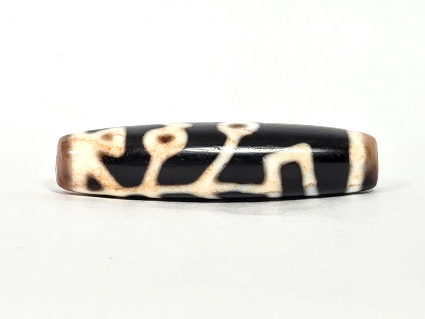 At-070726-TOLBS antique Tree of Life dzi pitch-black agate back face branching lattice motif unretouched