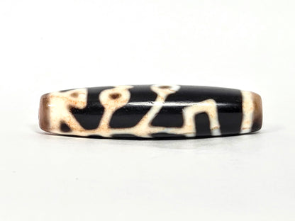 At-070726-TOLBS antique Tree of Life dzi pitch-black agate back face branching lattice motif unretouched