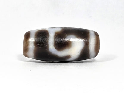 At-080926-RuyiBS antique Ruyi dzi bead 26.2×12.0mm, rotation C showing sweeping cream arc crossing dark field — clearest Ruyi scroll reading, unretouched