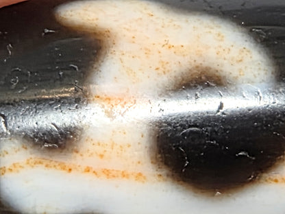 Extreme macro of antique Tibetan Green Tara Dzi bead showing natural cinnabar bloodspot specks and amber striations running through white agate field — 硃砂 zhūshā — unretouched photo — Ancient Dzi Shop