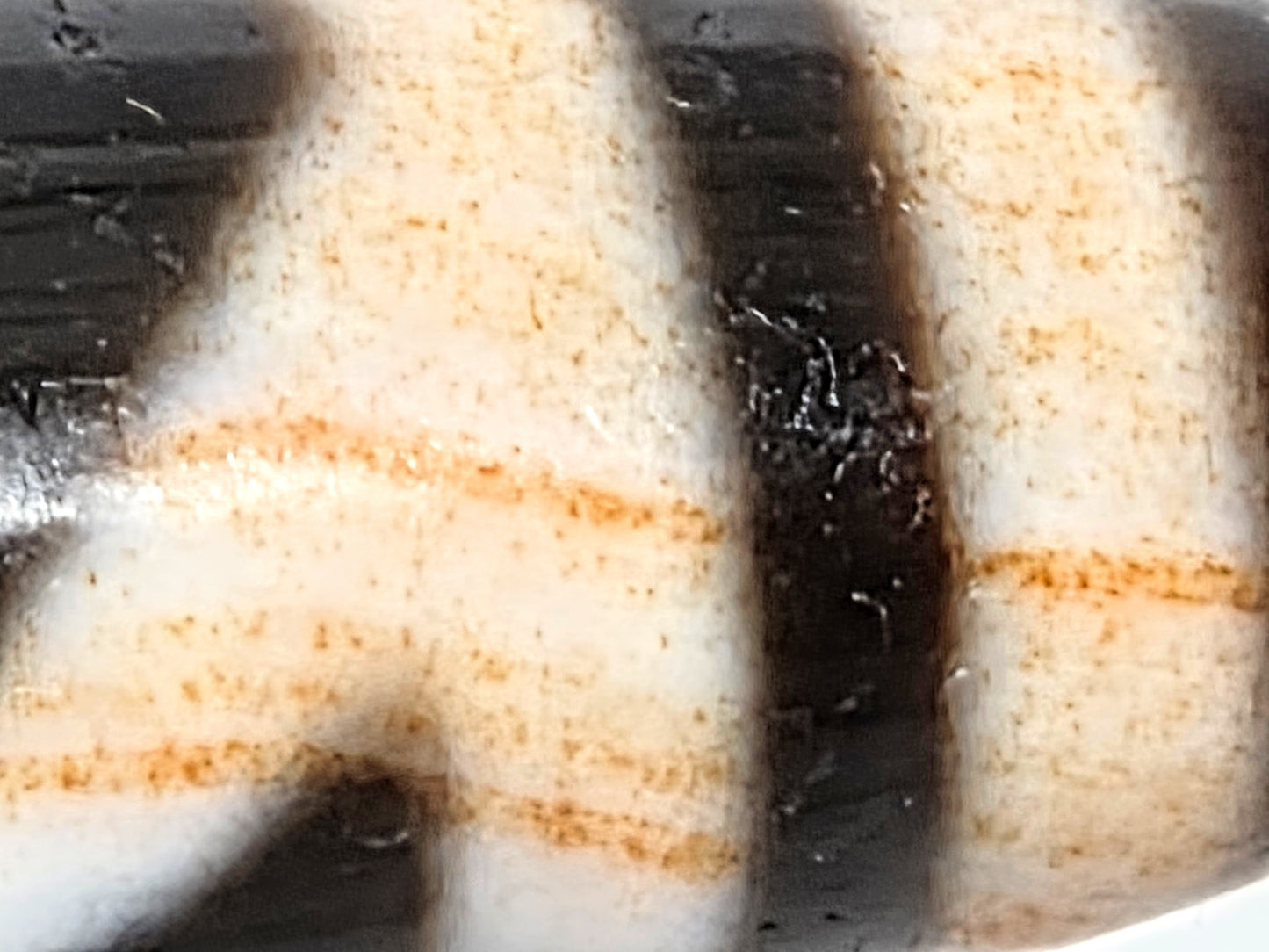Close-up of natural amber and orange agate striations running through white field of antique Tibetan Green Tara Dzi bead — rare geological feature — unretouched photo — Ancient Dzi Shop