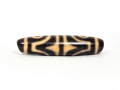 At-071026-4ETT antique four eye tiger tooth dzi very dark brown agate tiger tooth face 1 cream chevrons unretouched