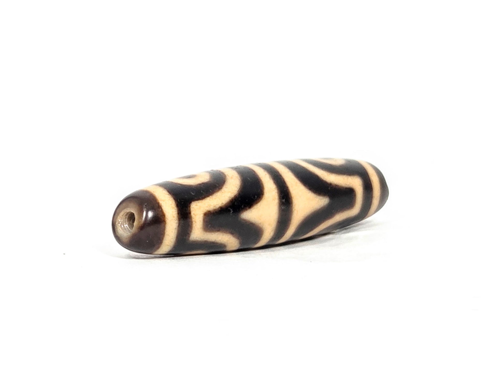 At-071026-4ETT antique four eye tiger tooth dzi angled opposite drill end dark brown end cap unretouched