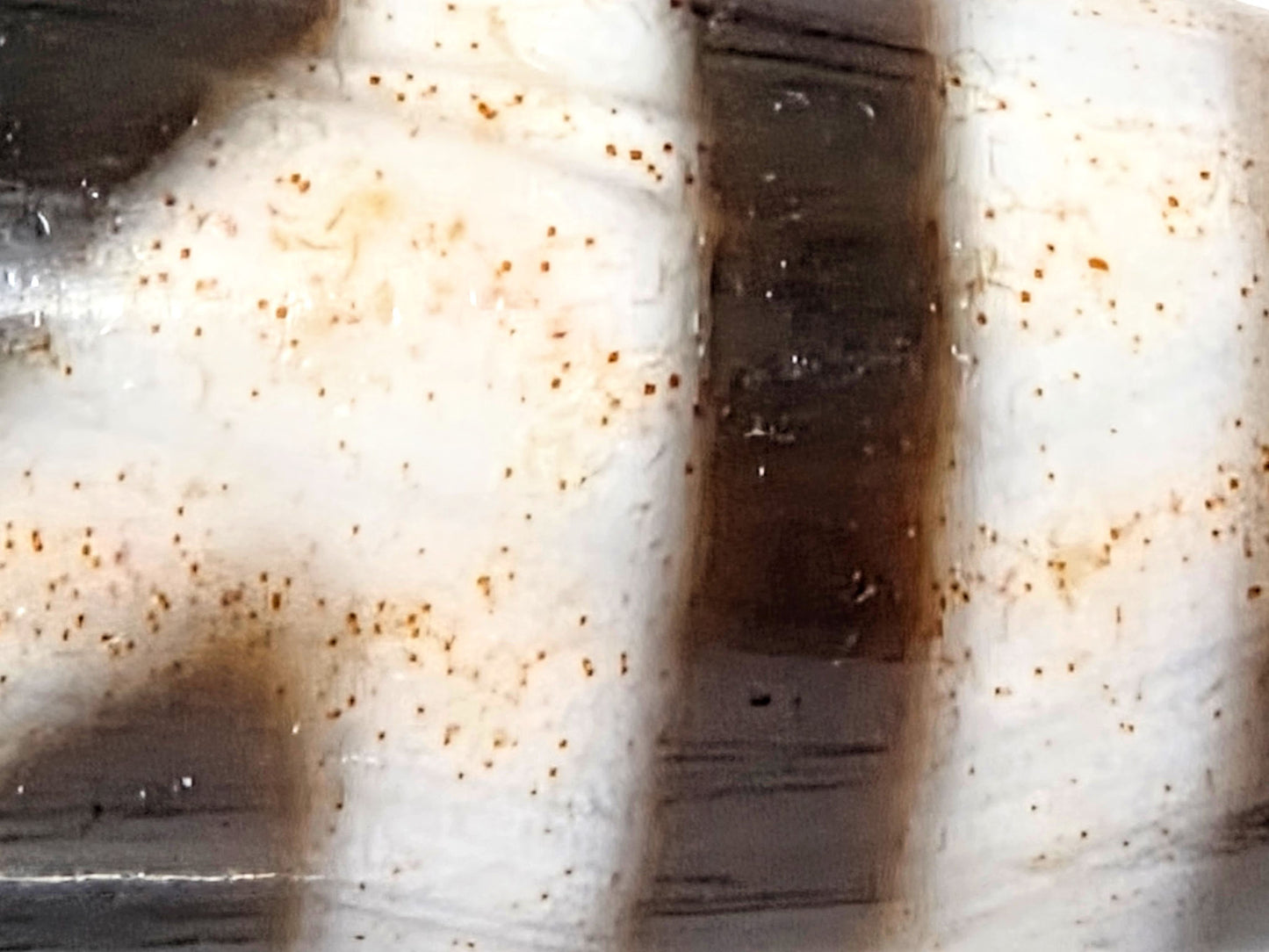 At-043026-GT macro, dense rust-orange cinnabar micro-dots across cream Tara motif zone, unretouched