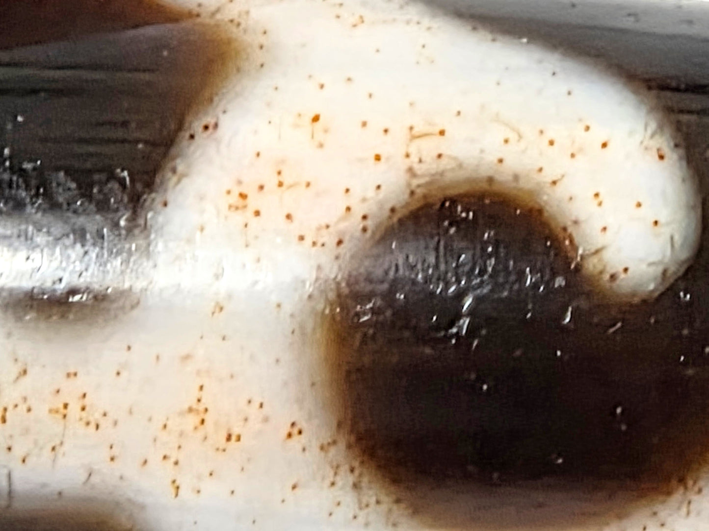 At-043026-GT macro, rust-orange cinnabar dots surrounding dark Tara scroll element in cream field, unretouched