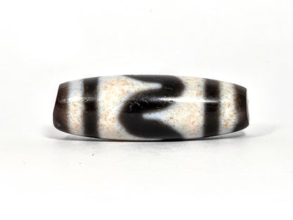 At-080326-TaBS4 antique tasso tiger tooth dzi 35.6×12.1mm dark brown agate face A upward wave sweep unretouched