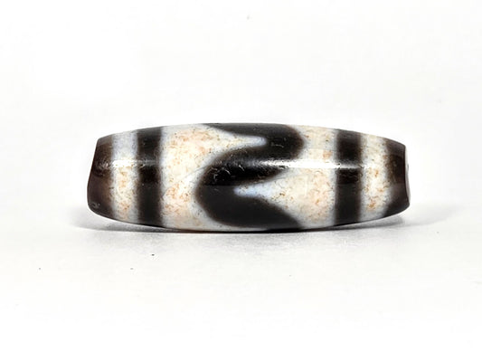 At-080326-TaBS4 antique tasso tiger tooth dzi 35.6×12.1mm dark brown agate face A upward wave sweep unretouched
