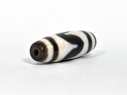 At-080326-TaBS4 antique tasso tiger tooth dzi drill end B dark brown end cap small drill hole unretouched