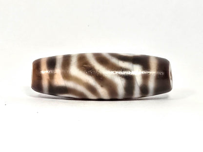 At-072326-2EVBS antique two eye variant dzi dark brown agate reverse face flowing stripe field unretouched
