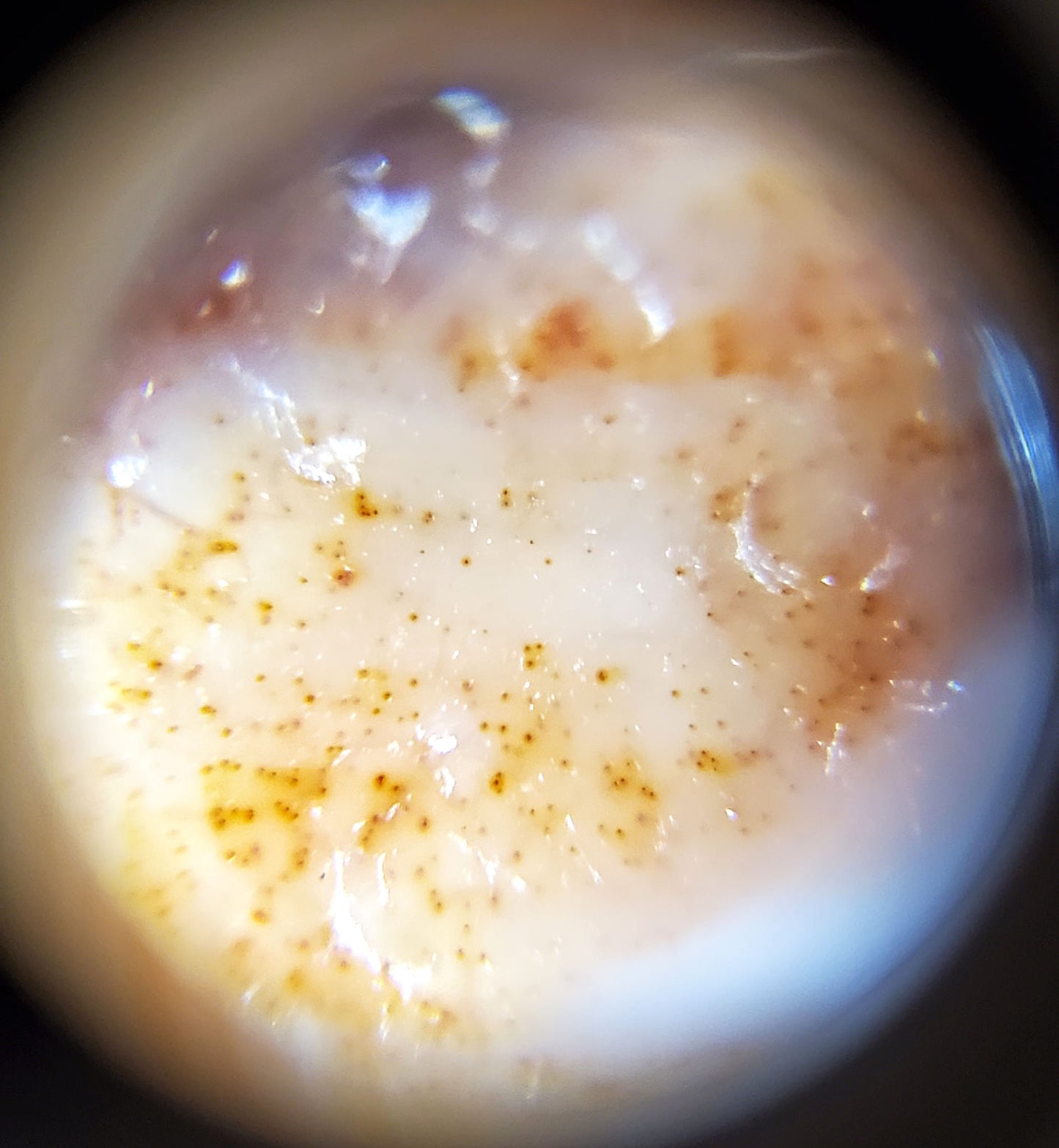 Ac-071026-TaBS ancient tasso dzi microscope view cinnabar bloodspot scatter broader cream field unretouched