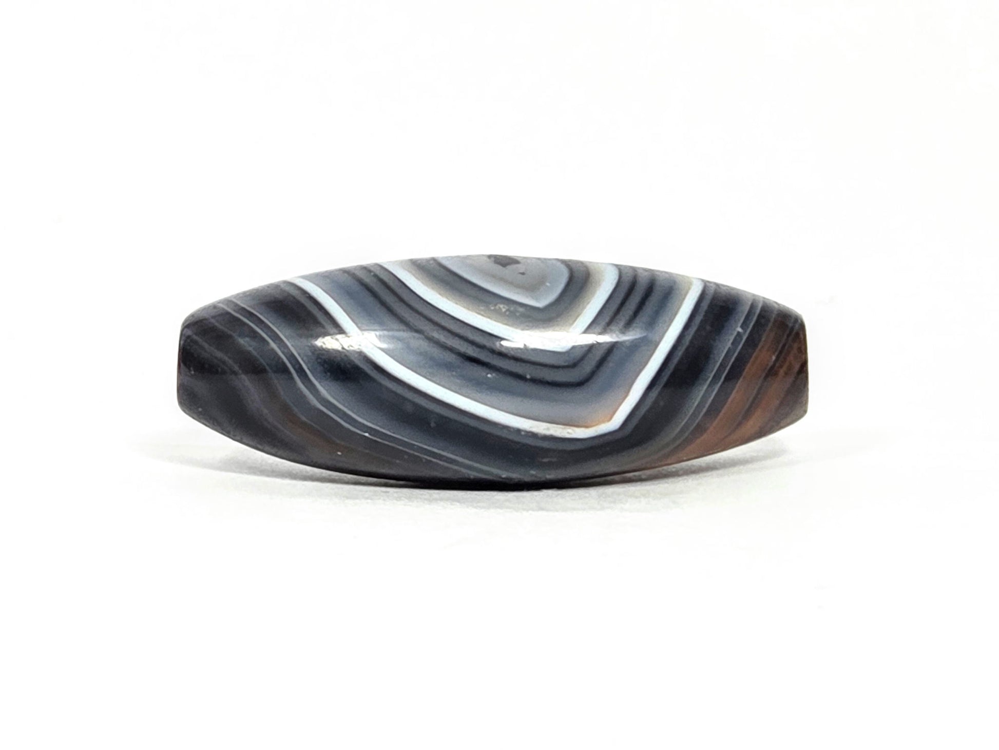 N-N-071026-1E-OLV2 rotated upper face, no eye visible, angular chevron banding with white band, warm brown end zone, unretouched