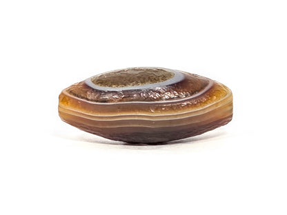 N-N-071126-1E-OLV5 upper face, natural rough agate cortex, undulating striated surface, warm honey-gold and reddish-brown, unretouched