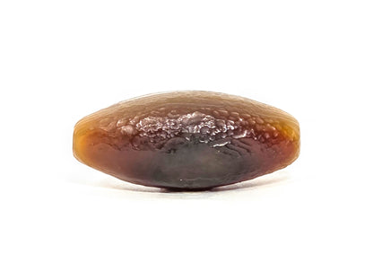 N-N-071126-1E-OLV5 back face, no eye, warm honey-orange and reddish-brown banding, dark grey-purple zone at lower centre, unretouched