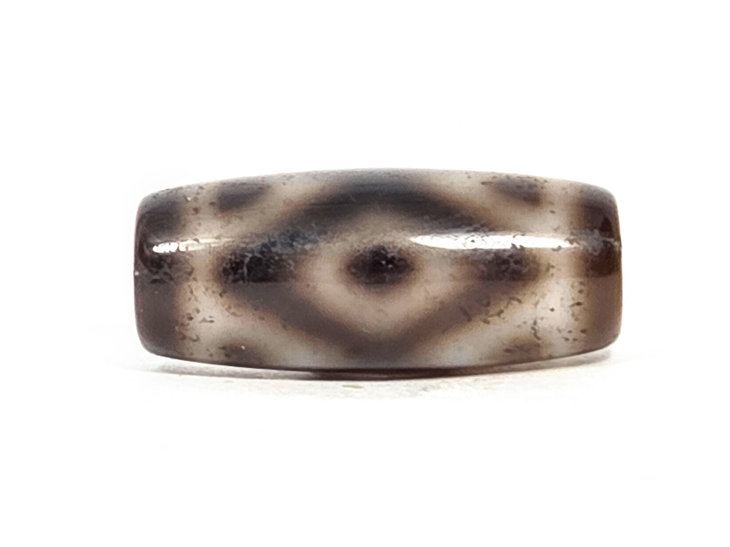 Three Eye Tiger Tooth N-FA-071426-3ETT 27.6×11.8mm grey-brown agate face A — diamond eye, tiger dots, unretouched. 