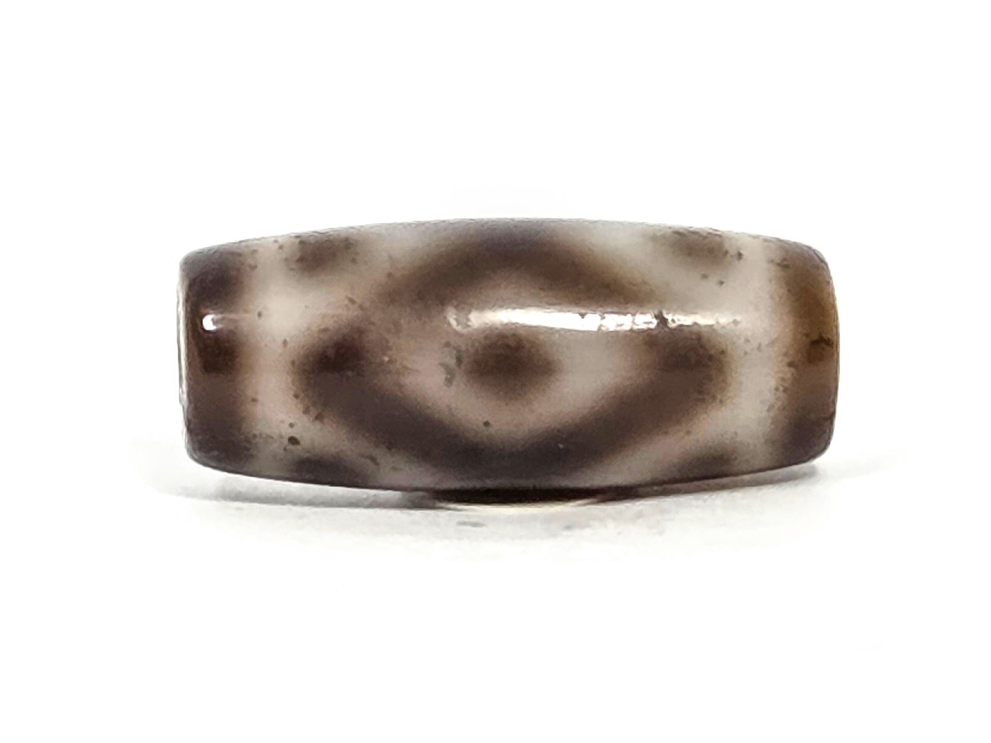Three Eye Tiger Tooth N-FA-071426-3ETT face B — rounder eye, wide cream surround, warm grey-brown ground, unretouched. 