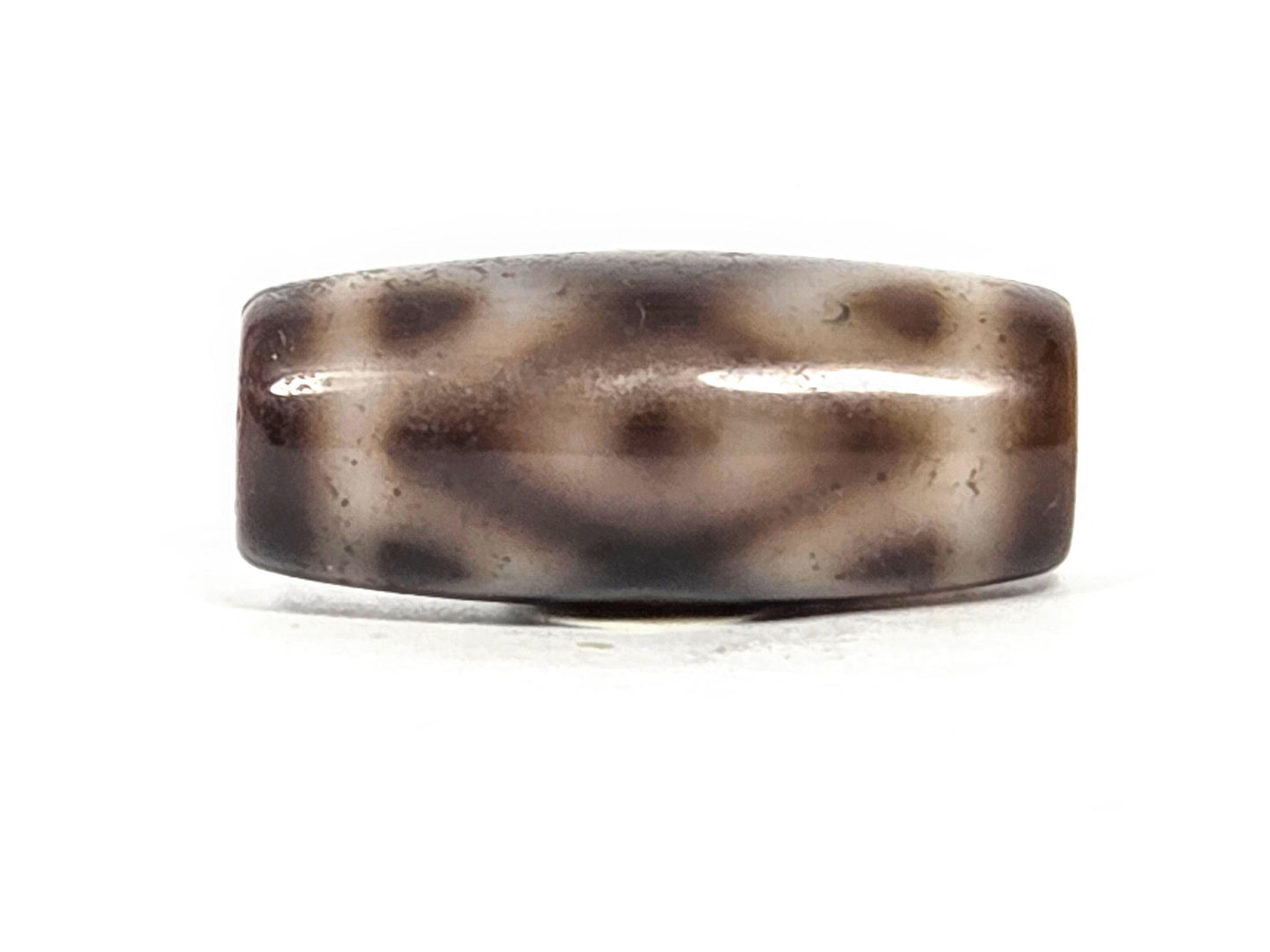 Three Eye Tiger Tooth N-FA-071426-3ETT face C — rotated view, scattered tiger tooth dots, cream-grey body, unretouched.