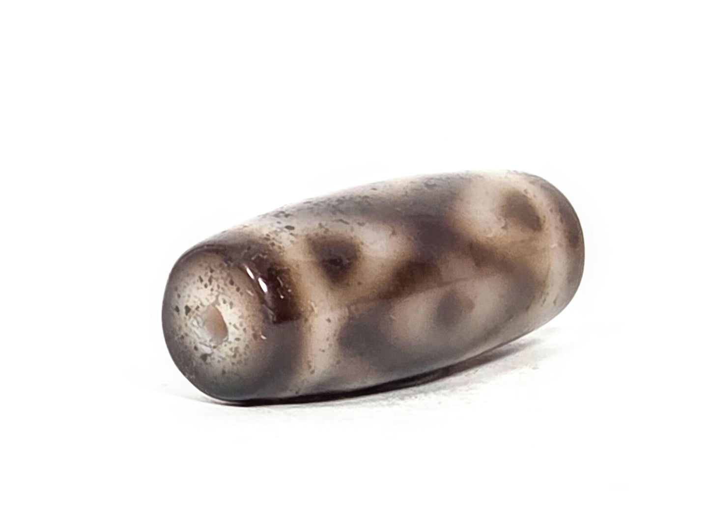 Three Eye Tiger Tooth N-FA-071426-3ETT end angle B — opposite end, matte frosted finish, dark spot clusters visible, unretouched. 