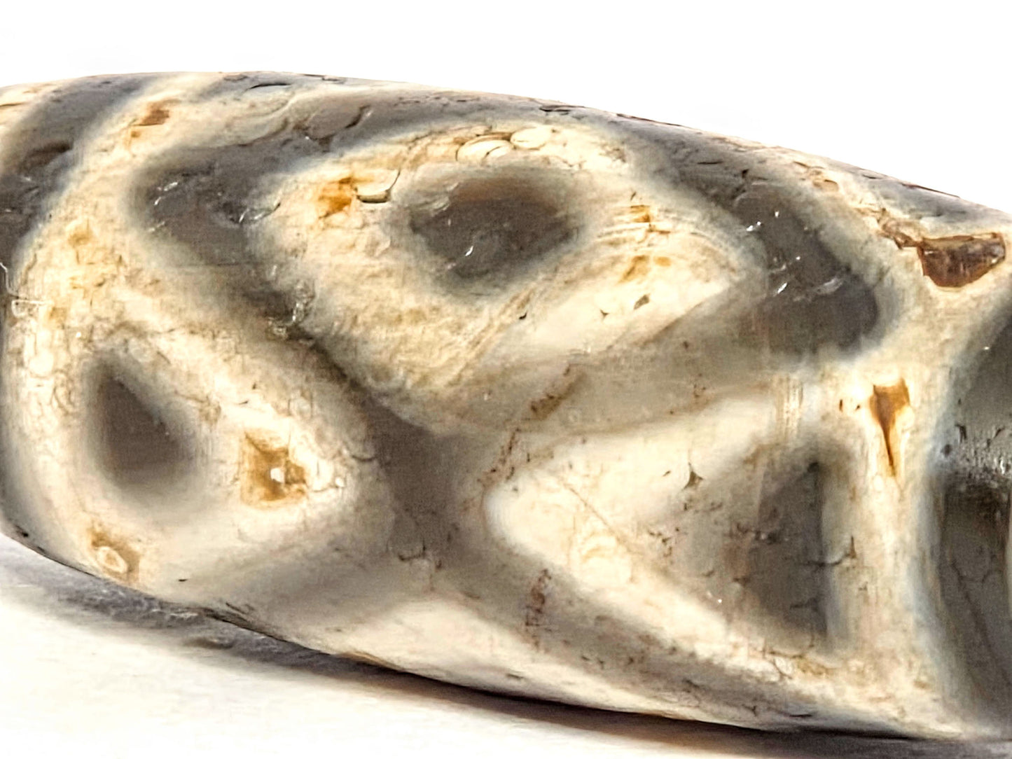 Ac-070926-3DE ancient three diamond eye tiger tooth dzi close-up body showing 2000 year age crystallisation cream zones unretouched