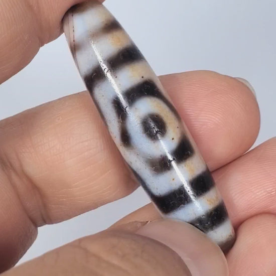Antique Three Eye Dzi Bead with Extreme Cinnabar Bloodspots (At-0426-3EBS2) — hand-held scale view, 47.8mm genuine Tibetan amulet, unretouched video