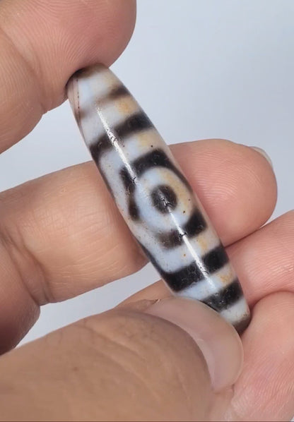 Antique Three Eye Dzi Bead with Extreme Cinnabar Bloodspots (At-0426-3EBS2) — hand-held scale view, 47.8mm genuine Tibetan amulet, unretouched video