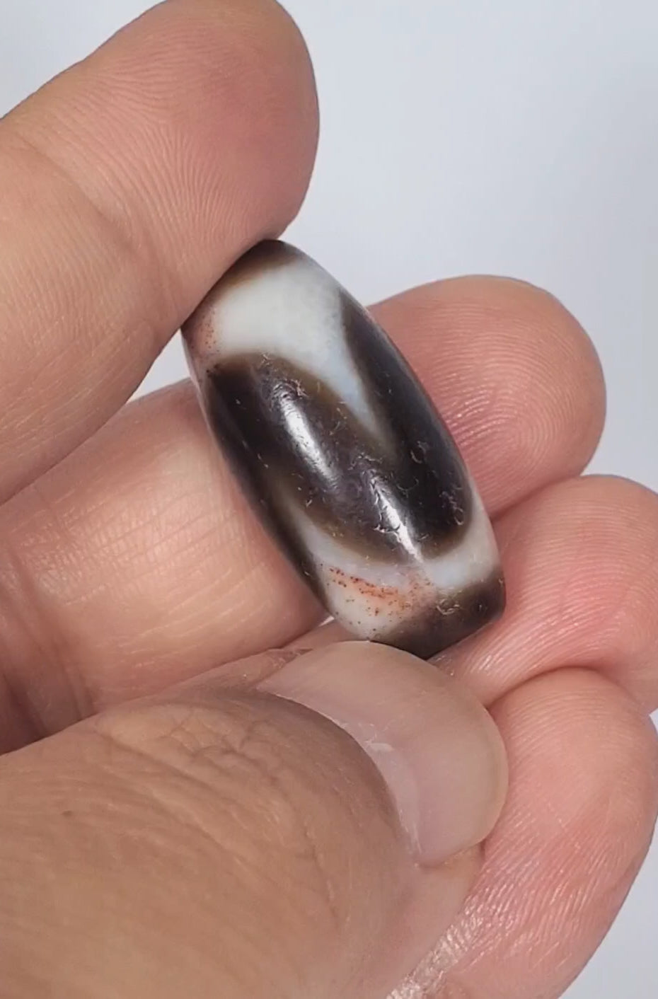 Video of antique Tibetan Tasso dzi At-093024-TaBS3 rotating 360°, deep chocolate-brown agate, broad cream wave motif, surface bloodspot inclusions, wide 29.4mm × 14.0mm barrel, unretouched footage