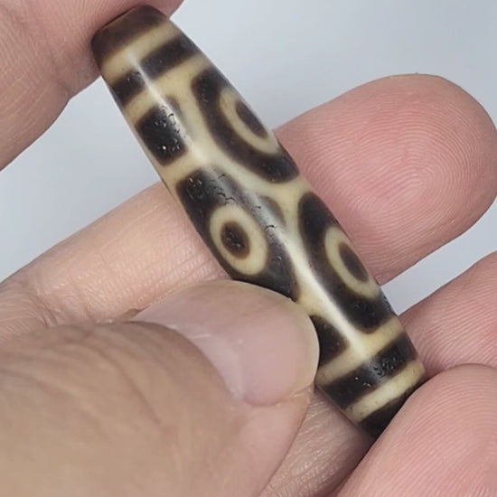 Antique Tibetan Six Eye Naga Dragon Eye dzi bead 48.8mm rotating 360 degrees showing all four faces, At-122124-6EN2