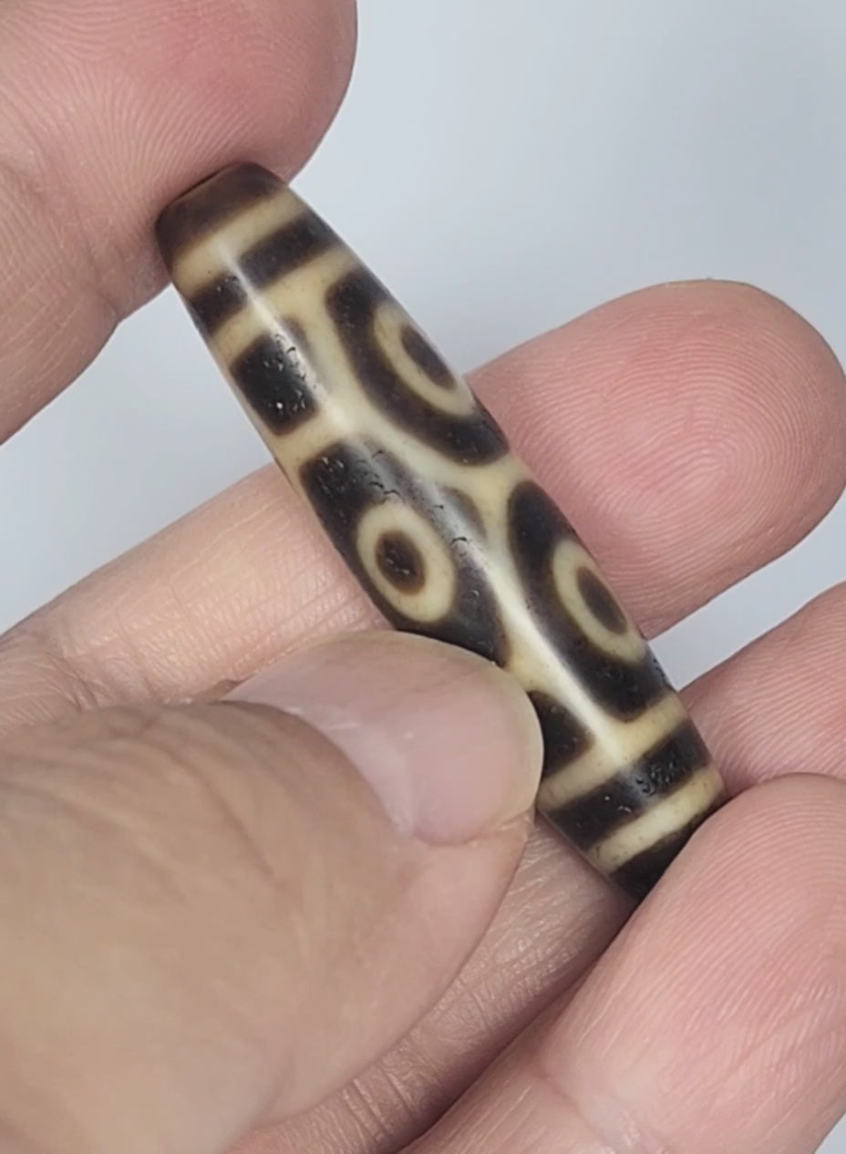 Antique Tibetan Six Eye Naga Dragon Eye dzi bead 48.8mm rotating 360 degrees showing all four faces, At-122124-6EN2