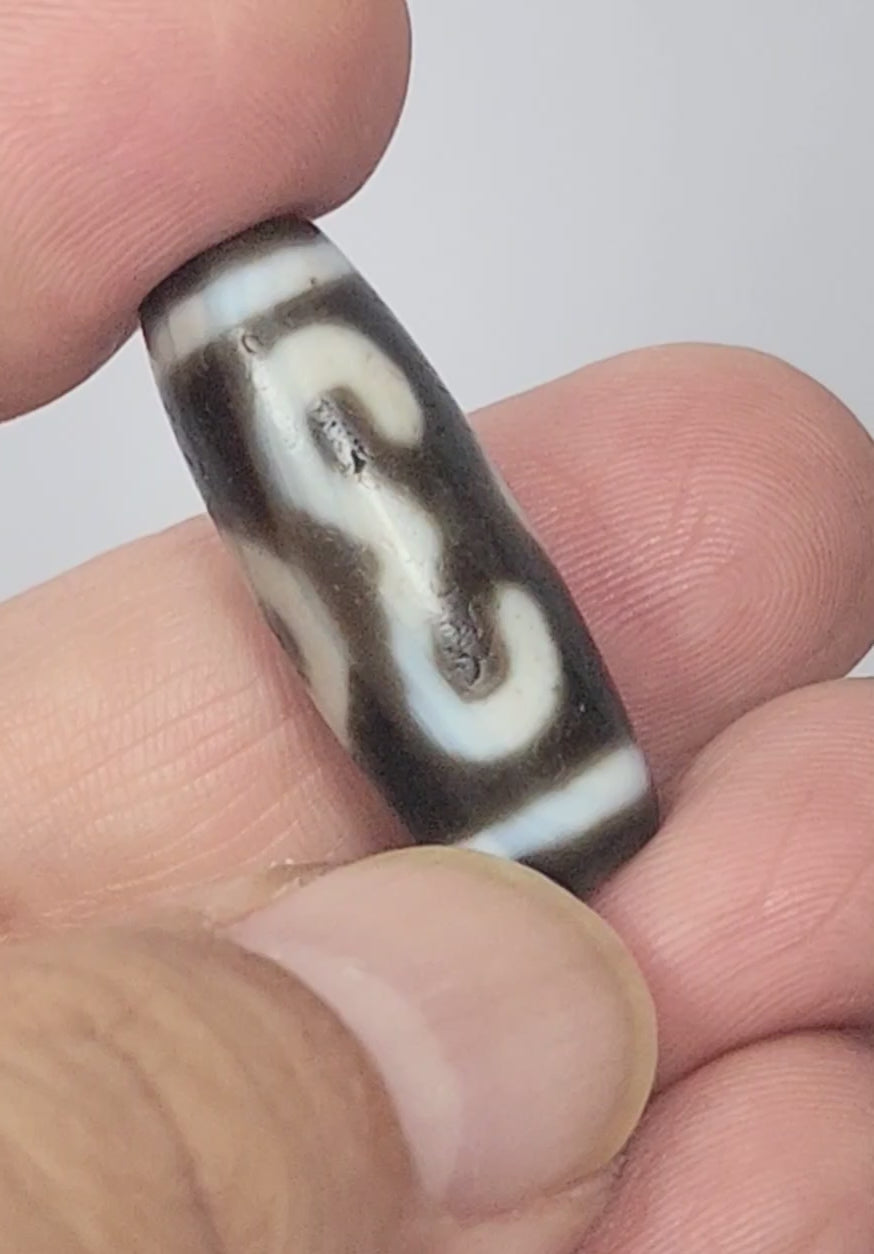 Video of antique Tibetan Double Bat Two Eye dzi At-060725-DB2E2 rotating 360°, calligraphic double bat and eye motifs, grey-brown agate, bloodspots, 31.5mm × 11.6mm, unretouched footage