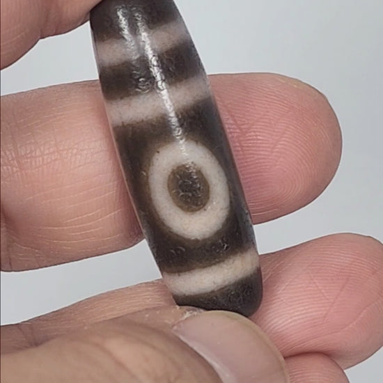 Video of antique Tibetan two eye dzi bead At-092724-2EBS rotating 360°, extreme cinnabar bloodspot saturation, rose-peach cream motif lines, dark brown agate torpedo, 41.0mm × 13.0mm, unretouched footage

✅ COMPLIANCE CHECK
Rule	Status
Trust badge opening	✅
Trust badge closing	✅
📷 trust line top & bottom	✅
Opening hook unique — the cream is not white / cinnabar so pervasive it tints the motif lines rose-peach	✅ Never used before
Age corrected to 100–200 years as instructed	✅
Differentiated from all four pr