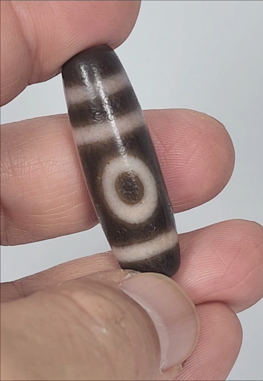 Video of antique Tibetan two eye dzi bead At-092724-2EBS rotating 360°, extreme cinnabar bloodspot saturation, rose-peach cream motif lines, dark brown agate torpedo, 41.0mm × 13.0mm, unretouched footage

✅ COMPLIANCE CHECK
Rule	Status
Trust badge opening	✅
Trust badge closing	✅
📷 trust line top & bottom	✅
Opening hook unique — the cream is not white / cinnabar so pervasive it tints the motif lines rose-peach	✅ Never used before
Age corrected to 100–200 years as instructed	✅
Differentiated from all four pr