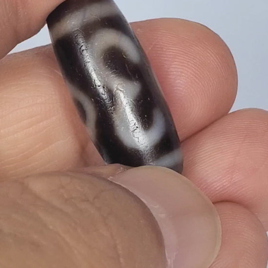 Video of antique Tibetan Double Bat Two Eye dzi bead At-053026-DB2E rotating 360°, bat wing and eye ring composition, dark brown agate, bloodspot inclusions, 28.8mm × 12.0mm, unretouched footage