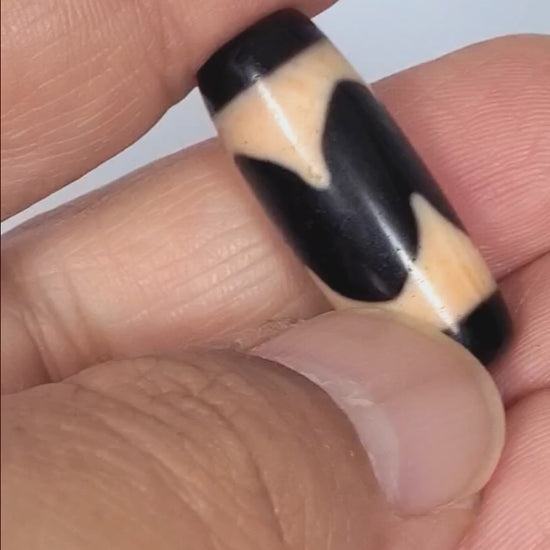 Video of antique Tibetan Tasso dzi bead At-092924-TaBS2 rotating 360°, pitch-black agate, opposing cream tooth-forms, bloodspot inclusions, compact barrel 28.7mm × 11.2mm, unretouched footage