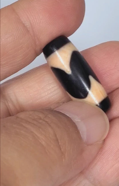 Video of antique Tibetan Tasso dzi bead At-092924-TaBS2 rotating 360°, pitch-black agate, opposing cream tooth-forms, bloodspot inclusions, compact barrel 28.7mm × 11.2mm, unretouched footage