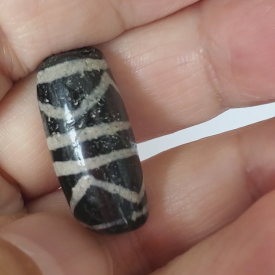 Ancient Double Tiger Tooth Dzi Bead (Anc-0426-DTT) — Unretouched 360° View