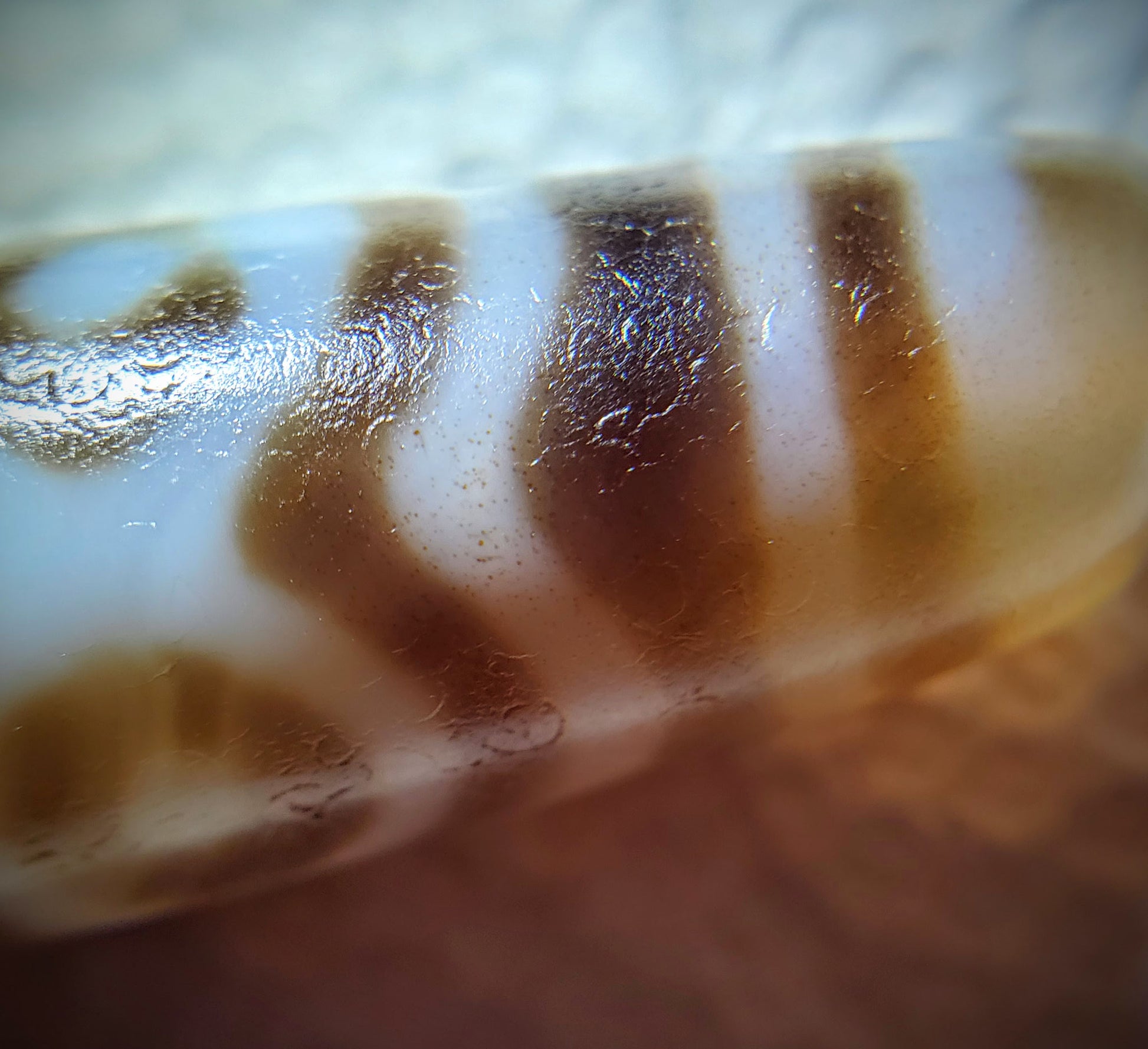 At-061926-PDEBS macro, sparse rust-brown cinnabar micro-specks in banded zone, unretouched