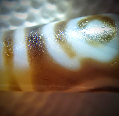 At-061926-PDEBS macro, warm translucent glow under raking light, cinnabar specks visible, unretouched