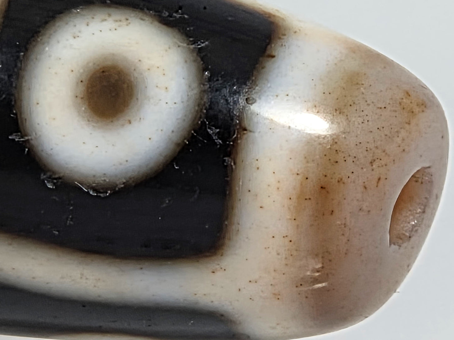At-070626-9E2 macro, cinnabar micro-dots in cream zones, warm brown end cap transition, age character, unretouched