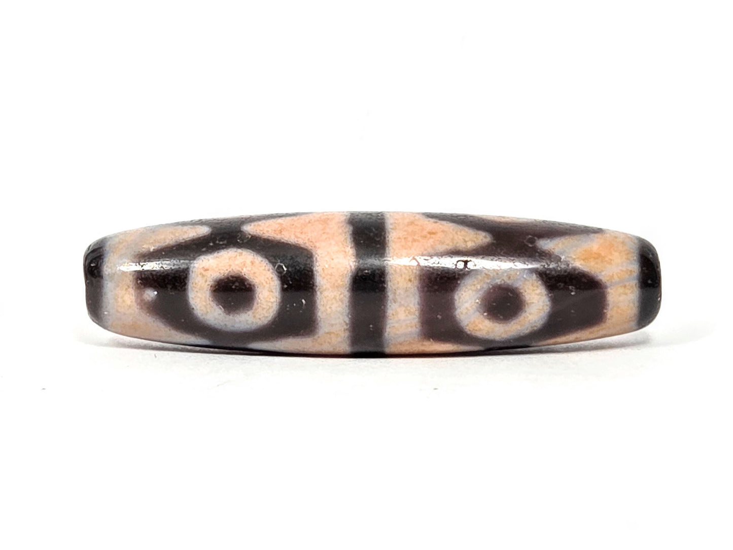 V-061026-6ETTBS face B, 2-eye tiger tooth pair, sandy-peach cinnabar field, dark chocolate motif lines, unretouched