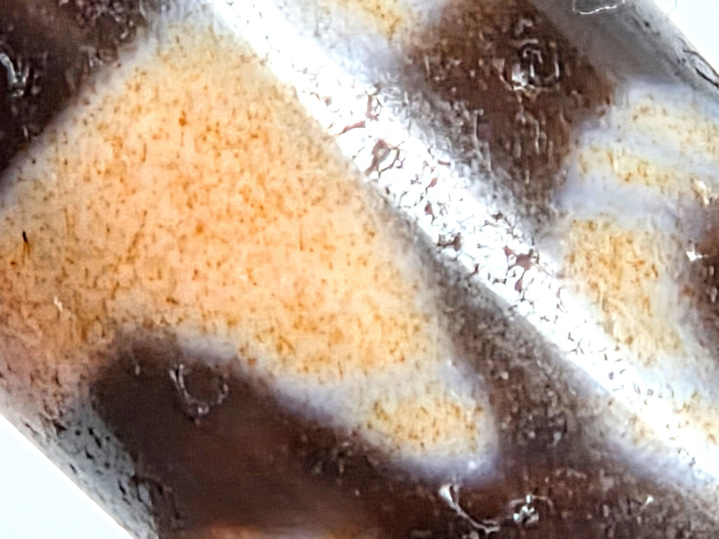 V-061026-6ETTBS macro boundary zone, golden-rust cinnabar stippling confirmed, surface crazing visible, unretouched